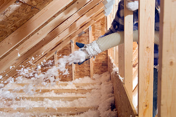 Professional Insulation Removal & Installation in Silver Lake, KS